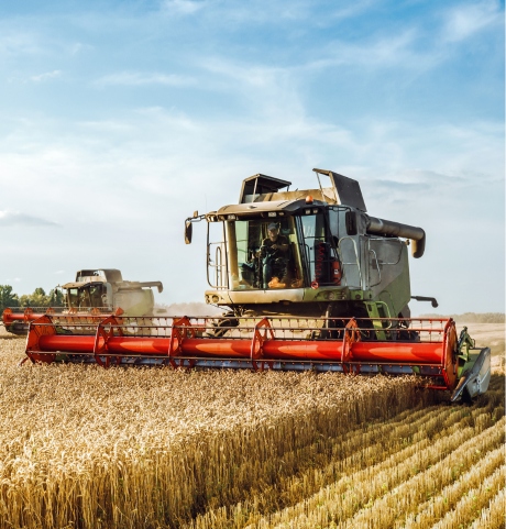 Agri-food sourcing