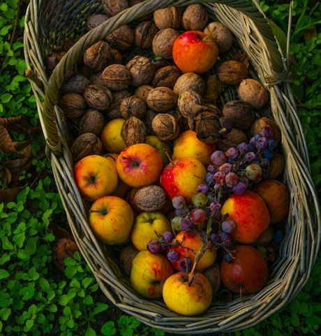 Fruits