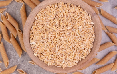 derumwheatsn (4)