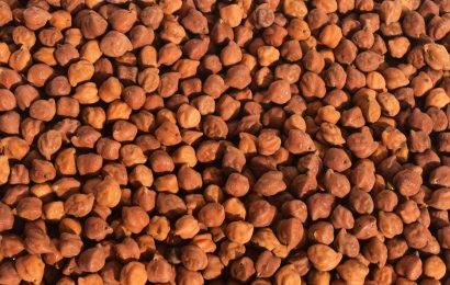 desi cheakpeas (5)