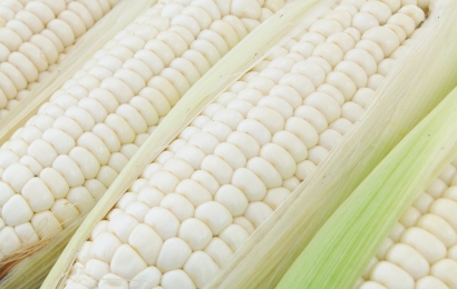 white corn )